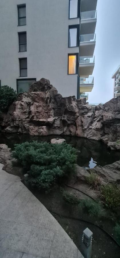 Garden Oasis Studio بوخارست المظهر الخارجي الصورة