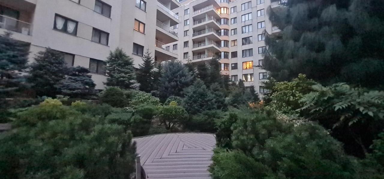 Garden Oasis Studio بوخارست المظهر الخارجي الصورة