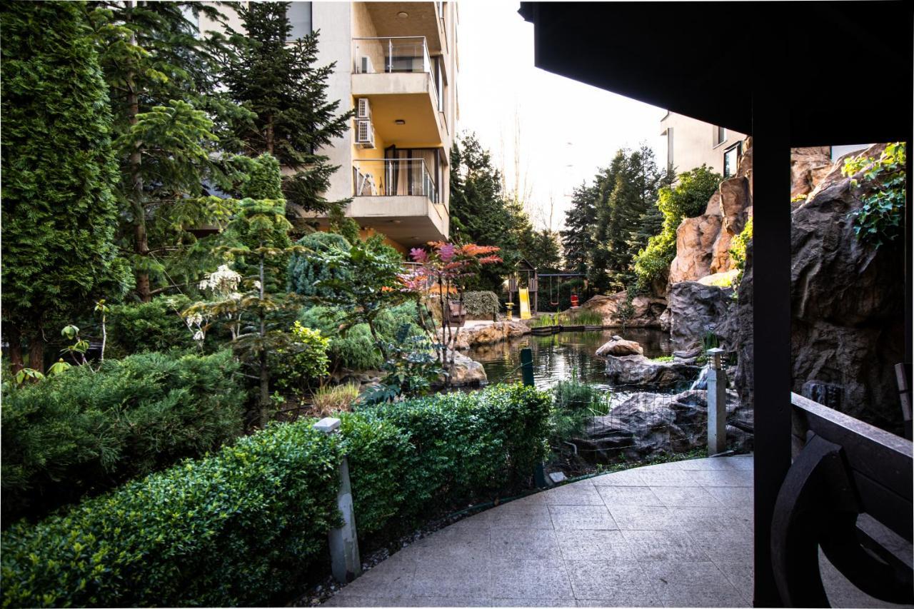 Garden Oasis Studio بوخارست المظهر الخارجي الصورة